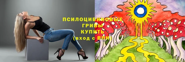 ALPHA PVP Заводоуковск